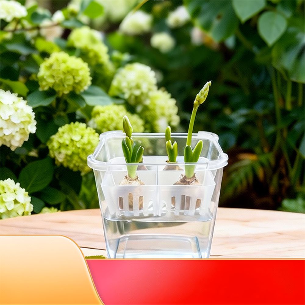 Hydroponic Vase For Tulip Lily - đánh giá và giá Vase Decor